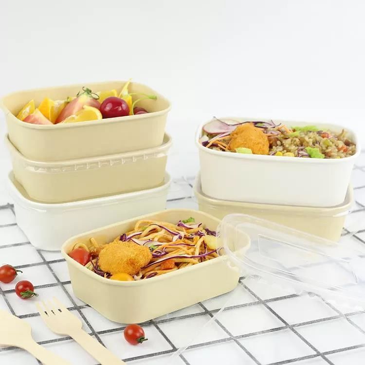 Eco Friendly Packaging Takeaway Takeout Square Salad Bowls Paper Food  Container with Lid - China Paper Bowls and Kraft Paper Bowl price